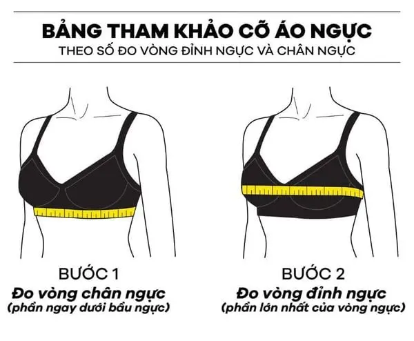 Cách tính Cup ngực