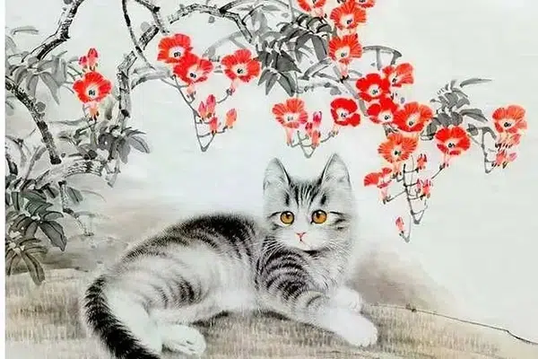 Tuổi Mão