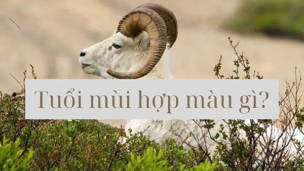 Tuổi Mùi hợp màu gì?