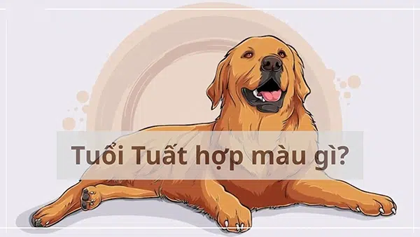Tuổi Tuất hợp màu gì?