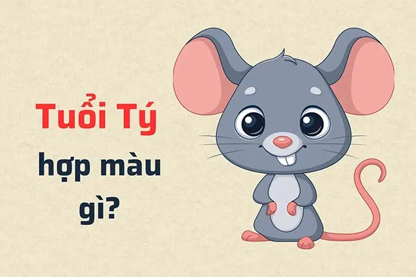 Tuổi Tý hợp màu gì?