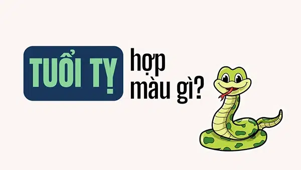 Tuổi Tỵ hợp màu gì?