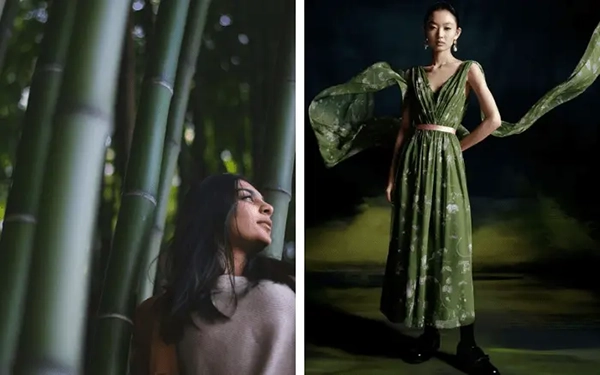 Vải bamboo là gì?
