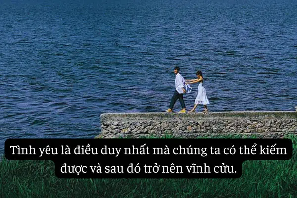 stt hay