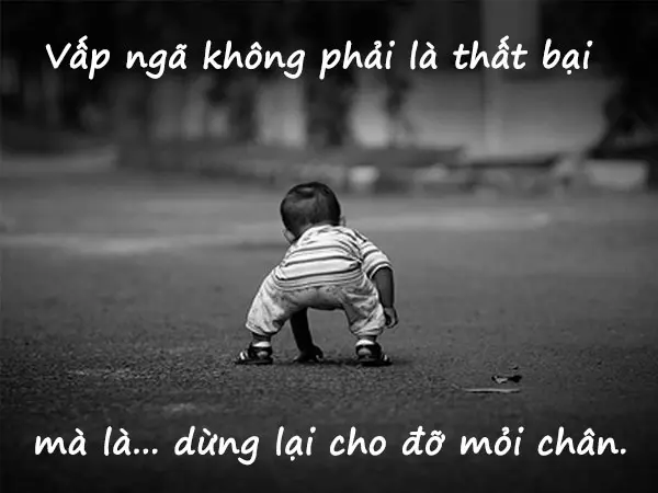 STT Hay, Cap Hay Chất Ngầu