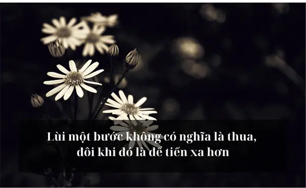 STT Hay, Cap Hay Sâu Sắc Về Cuộc Sống