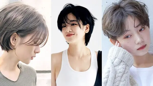 TomBoy là gì?