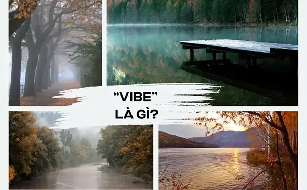 Vibe là gì?