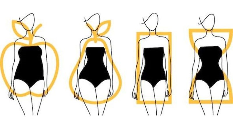 Minh họa tổng quan các kiểu dáng người nữ