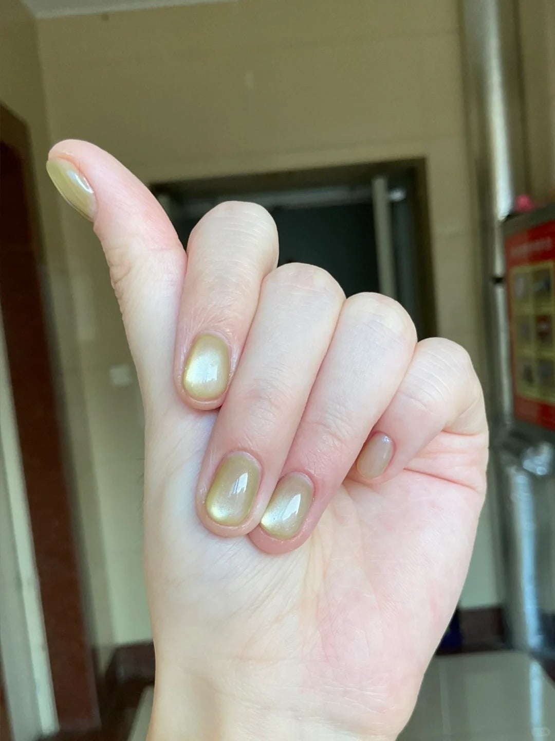 Mẫu nail mắt mèo đẹp